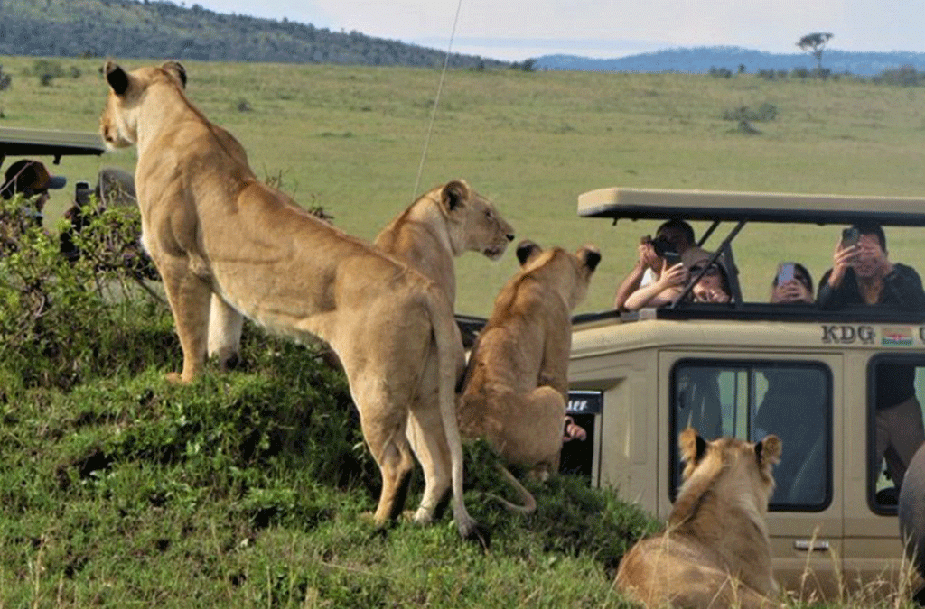 6 Day Best of Kenya Safari 2 6 day best of Kenya safari adventure
