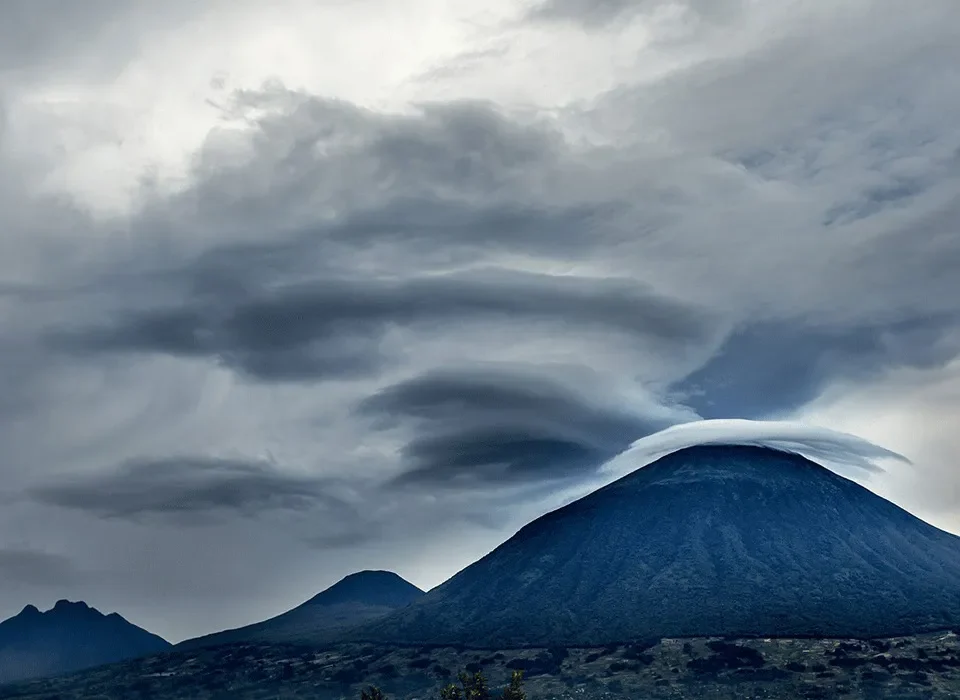 Volcano Hiking and Gorilla Trekking