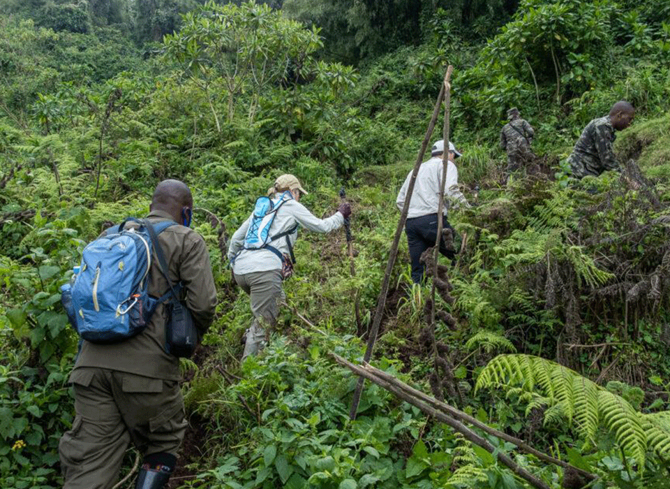 Rwanda Walking Safari 14 Walking Safari in Rwanda