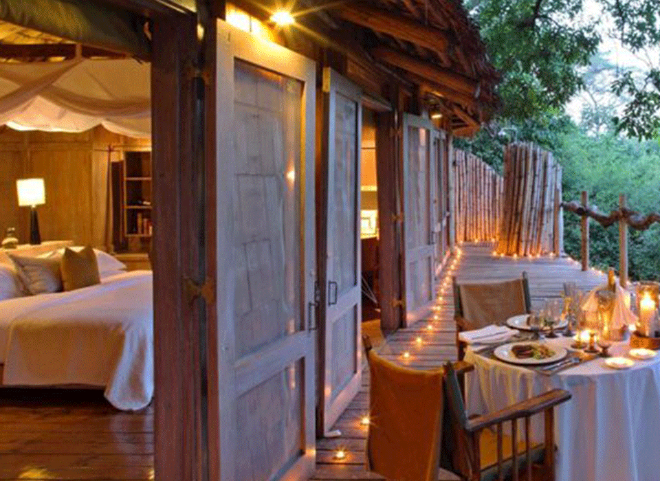 Are Luxury Safaris Worth It 12 Are luxury safaris worth it