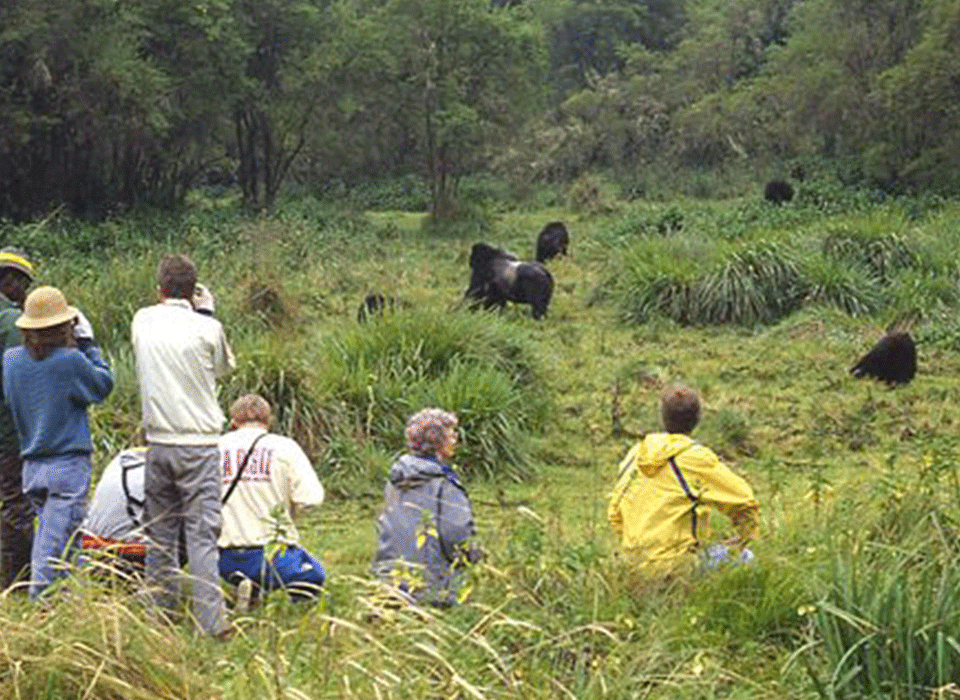 The Best Way to Plan Uganda's Mid-Range Safari 6 The Best Way to Plan Uganda's Mid-Range Safari