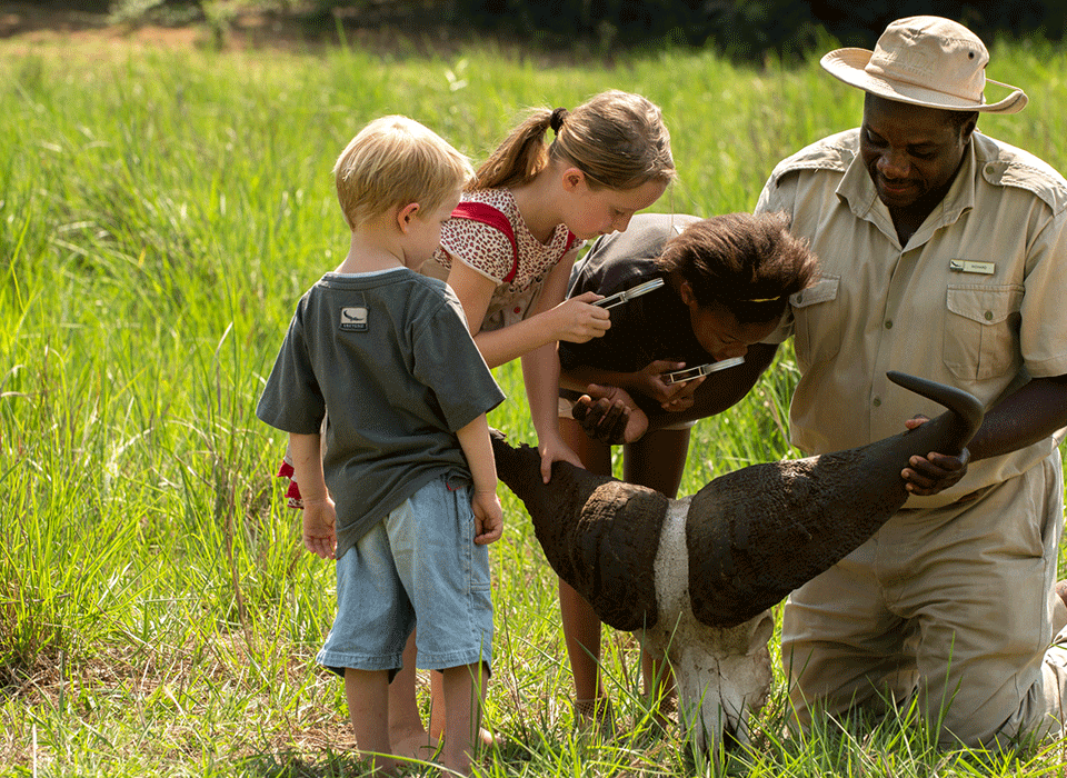 Why Kenyan Safaris Are Greater for Families