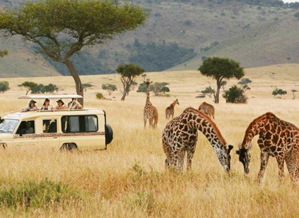 Which National Park in Uganda is the Least Crowded 6 Which National Park in Uganda is the Least Crowded