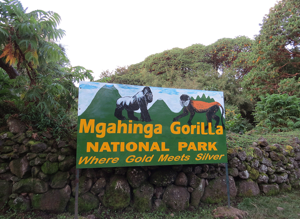 Why should one visit mgahinga? 10 visit Mgahinga Gorilla National Park