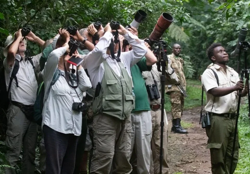 Guided Birding Tours in Bwindi