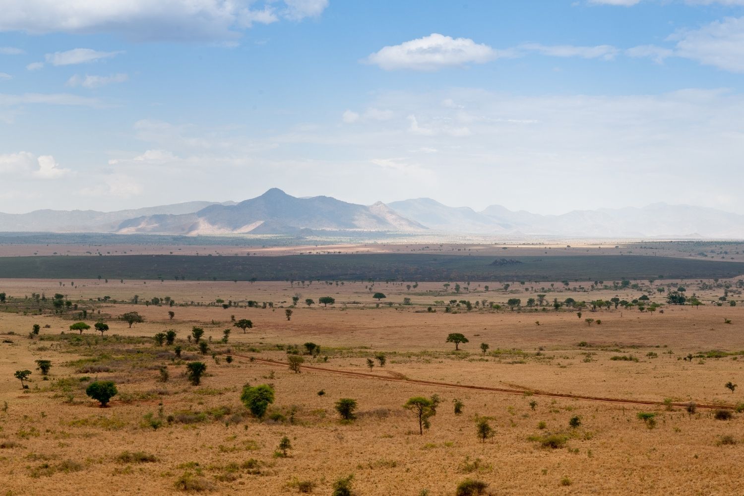 What Makes Kidepo Valley Unique From Other Parks? 5 Remote savannah and mountains of Kidepo Valley National Park Uganda