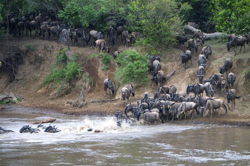 Northern Serengeti safari region Tanzania
