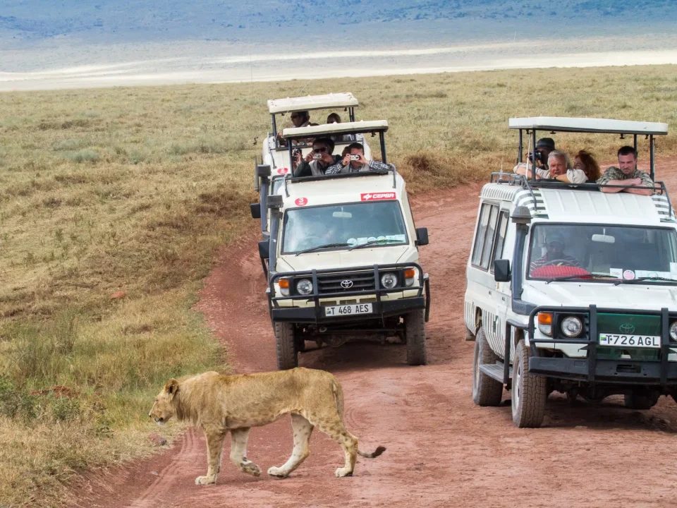 4 Days Ngorongoro Crater Safari 10 4 Days Ngorongoro Crater Safari