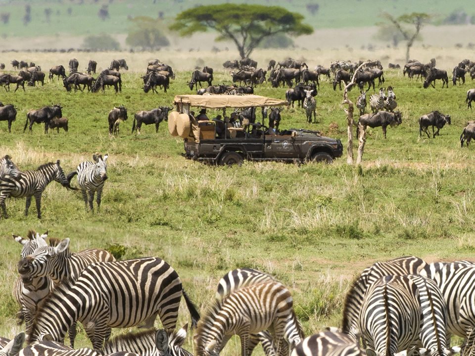 5 Itinerary Ideas of 3 Day Serengeti Safari 12 3-Day Serengeti Safari Itinerary