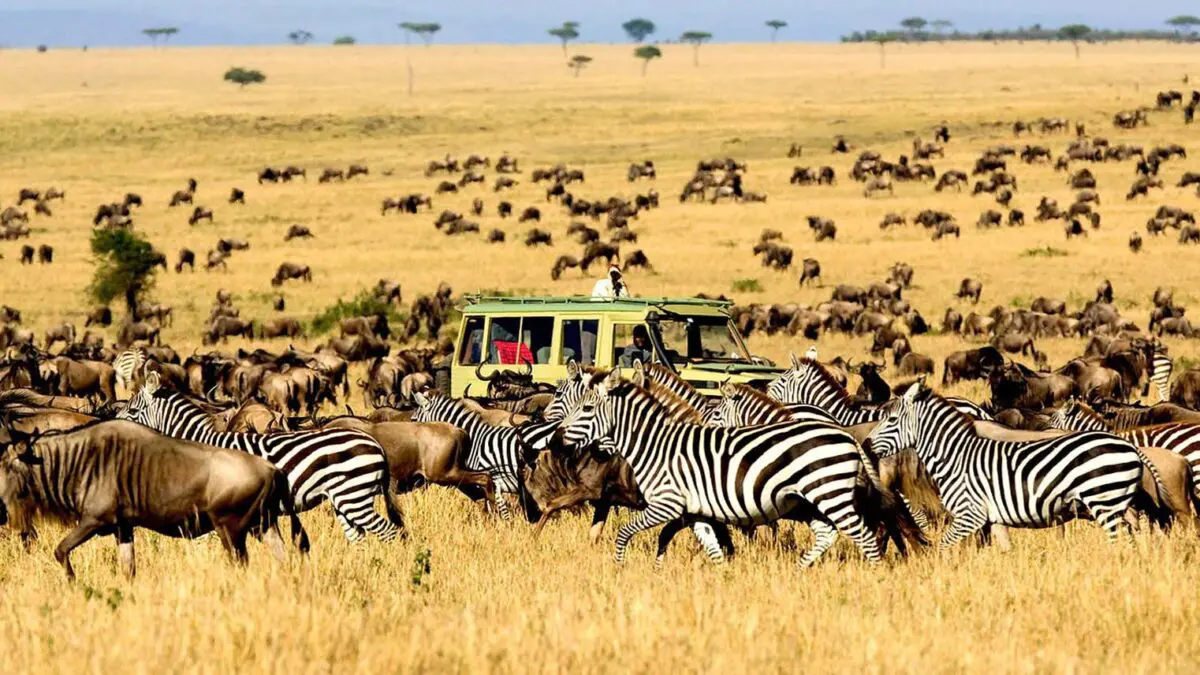 How to Plan Your First Visit to Serengeti National Park? 11 Southern Serengeti and Ndutu migration safari
