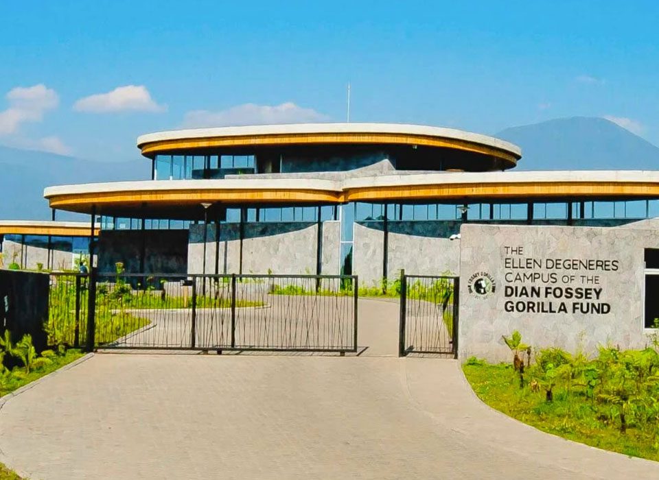 Ellen DeGeneres Campus of the Dian Fossey Gorilla Fund 4 Ellen DeGeneres Campus Rwanda