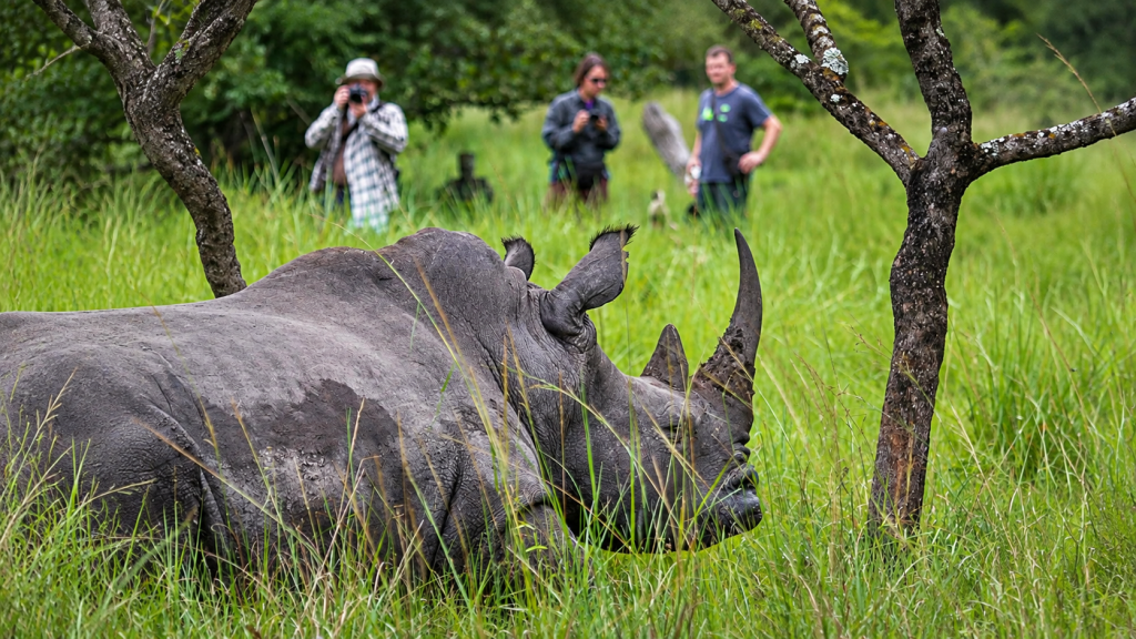 new frontier of wildlife tracking experiences in Uganda