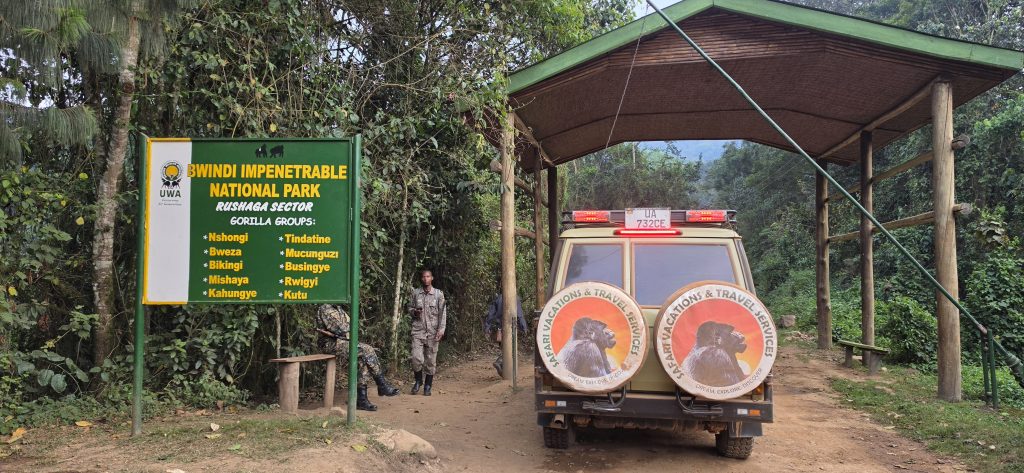 4-Day Double Gorilla Safari