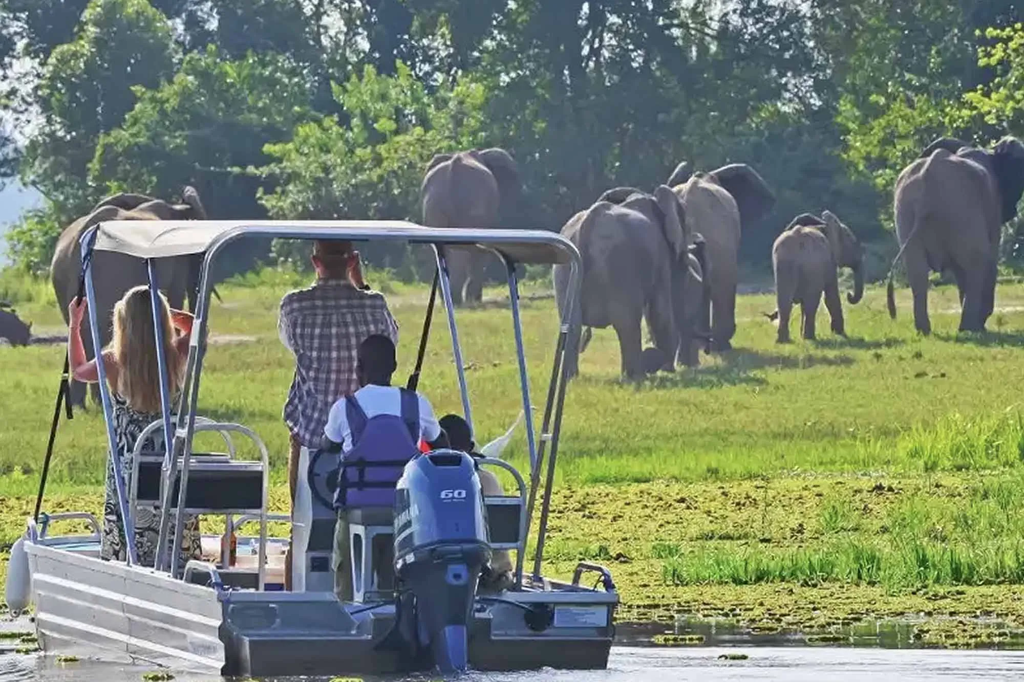 7-Day Uganda Gorilla Trekking and Wildlife Safari Itinerary 7 Tourists viewing elephants during a boat safari on a 7-Day Uganda Gorilla Safari