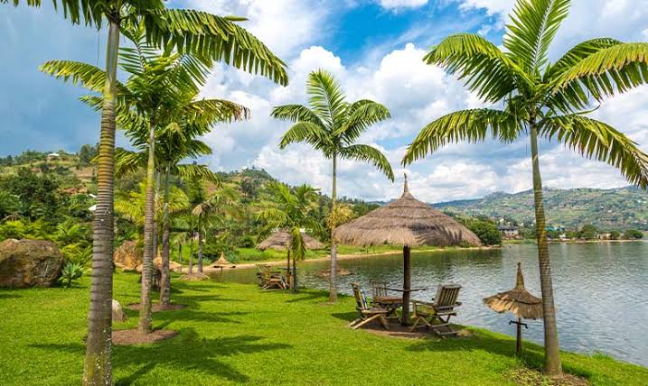 Best time to visit Rwanda travel guide covering weather and safari seasons