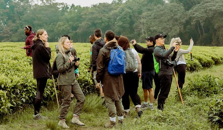 Best Time to Visit Rwanda: Complete Safari and Weather Guide 11 Choosing the best season for every Rwanda safari experience.