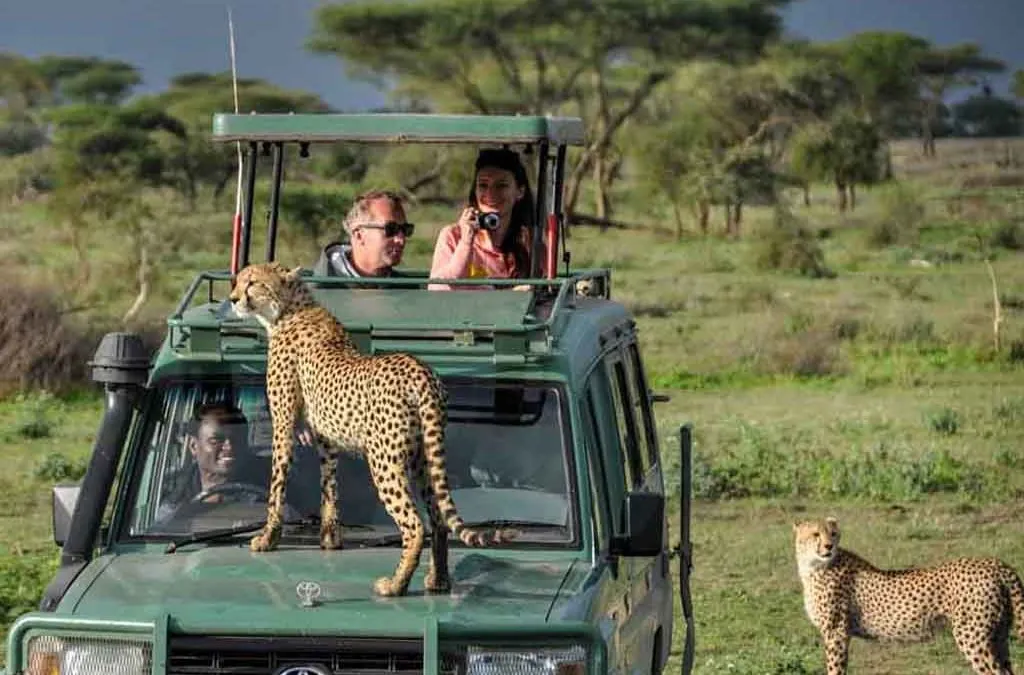 Ultimate Custom Uganda Safari Packages for Tourists in 2026/2027 1 Custom Uganda Safari Packages in Uganda