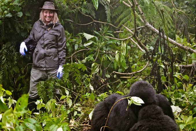 Ultimate Custom Uganda Safari Packages for Tourists in 2026/2027 7 Mountain gorillas in Bwindi Impenetrable National Park