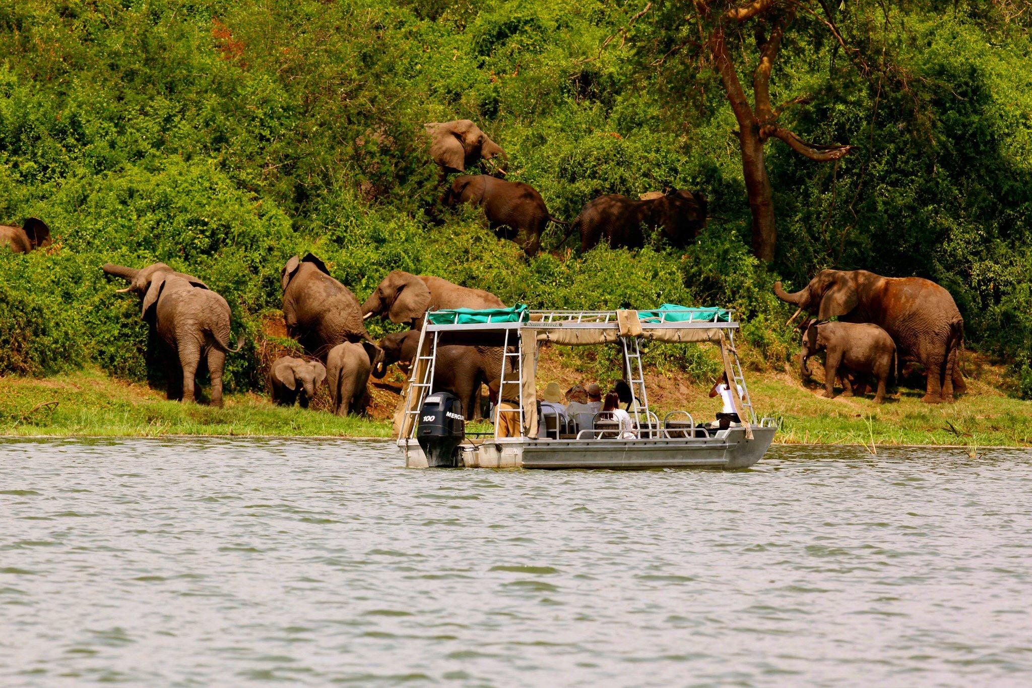 Boat Cruise on Kazinga Channel 3 boat cruise on Kazinga Channel with hippos, elephants and buffalo