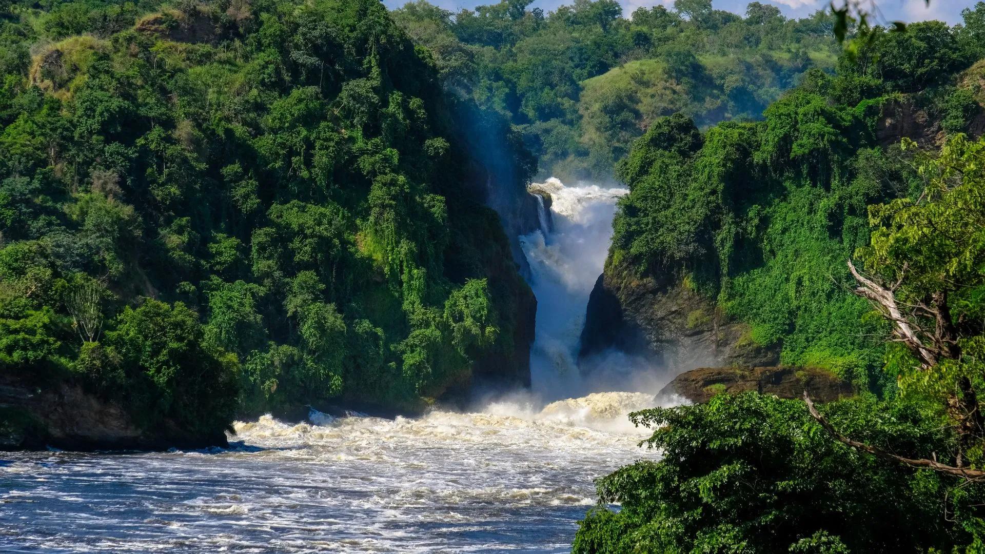 What Makes Kidepo Valley Unique From Other Parks? 25 Murchison Falls National Park Uganda