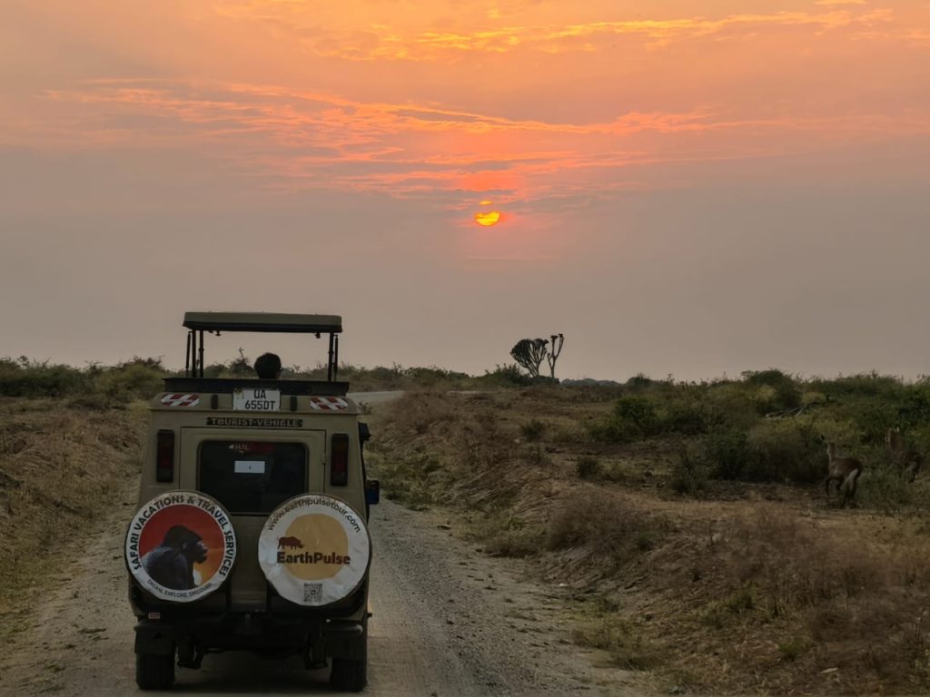 The best Uganda Primates Tours allow you to explore wildlife in other national park in Uganda
