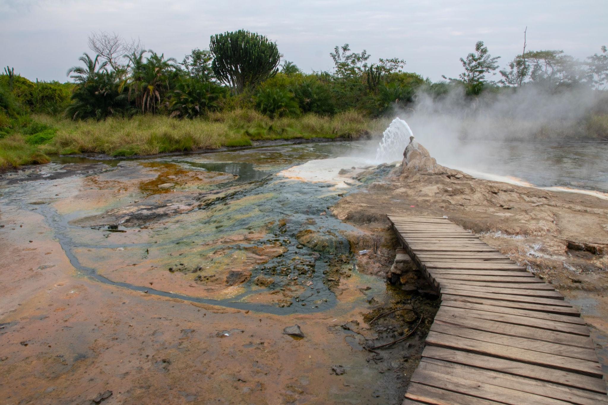 Ultimate Uganda Wildlife Safari
