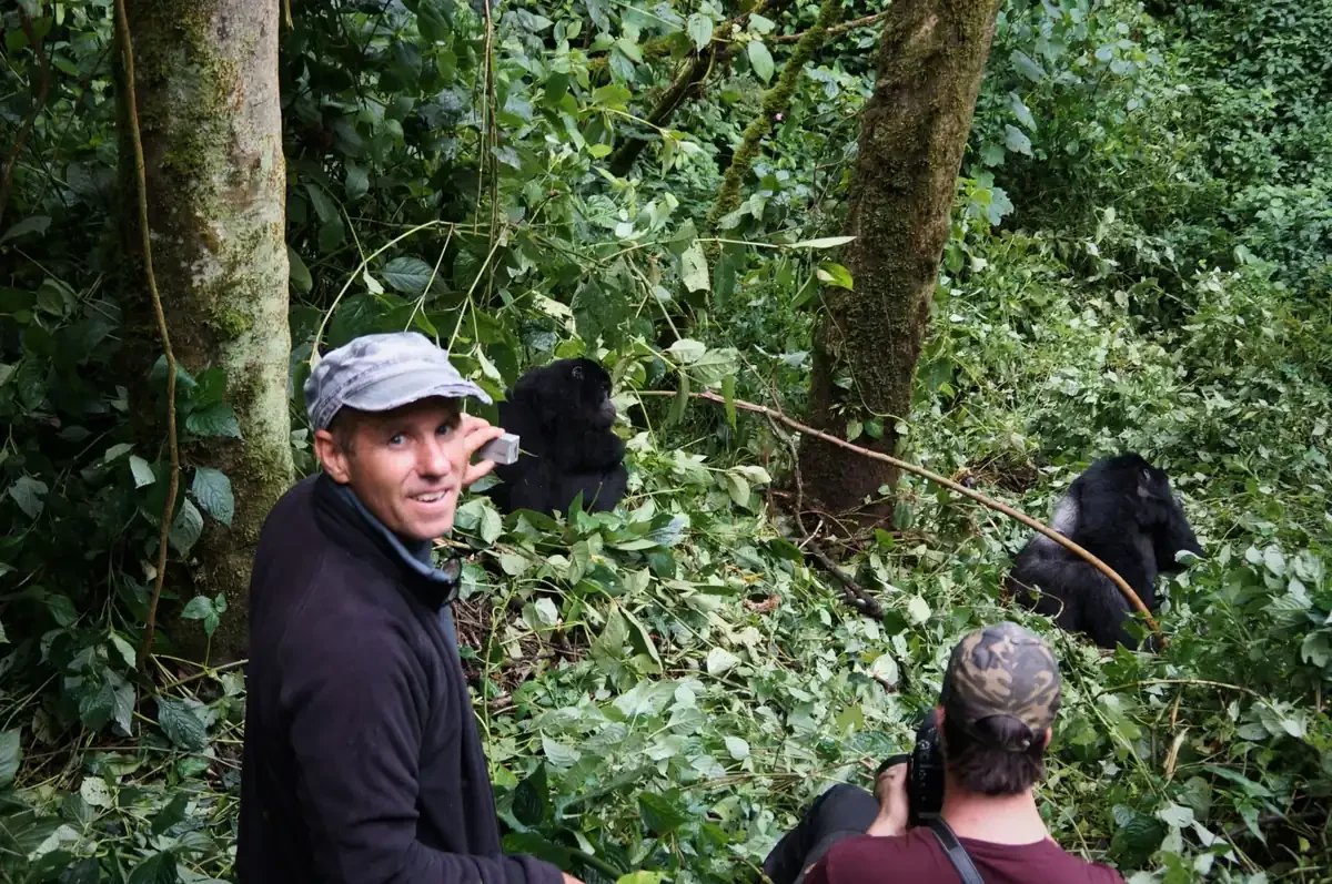 Dry Season vs Rainy Season Gorilla Trekking 15 Uganda rainforest conditions during dry and rainy season gorilla trekking