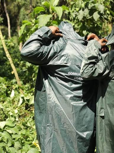 Best Gorilla Trekking Packing List 11 images