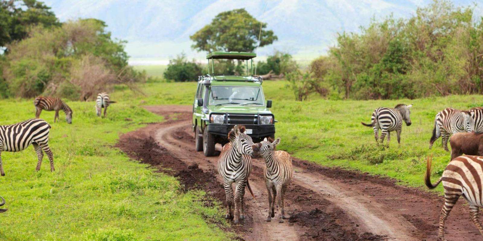 25 Uganda self drive safari vehicle