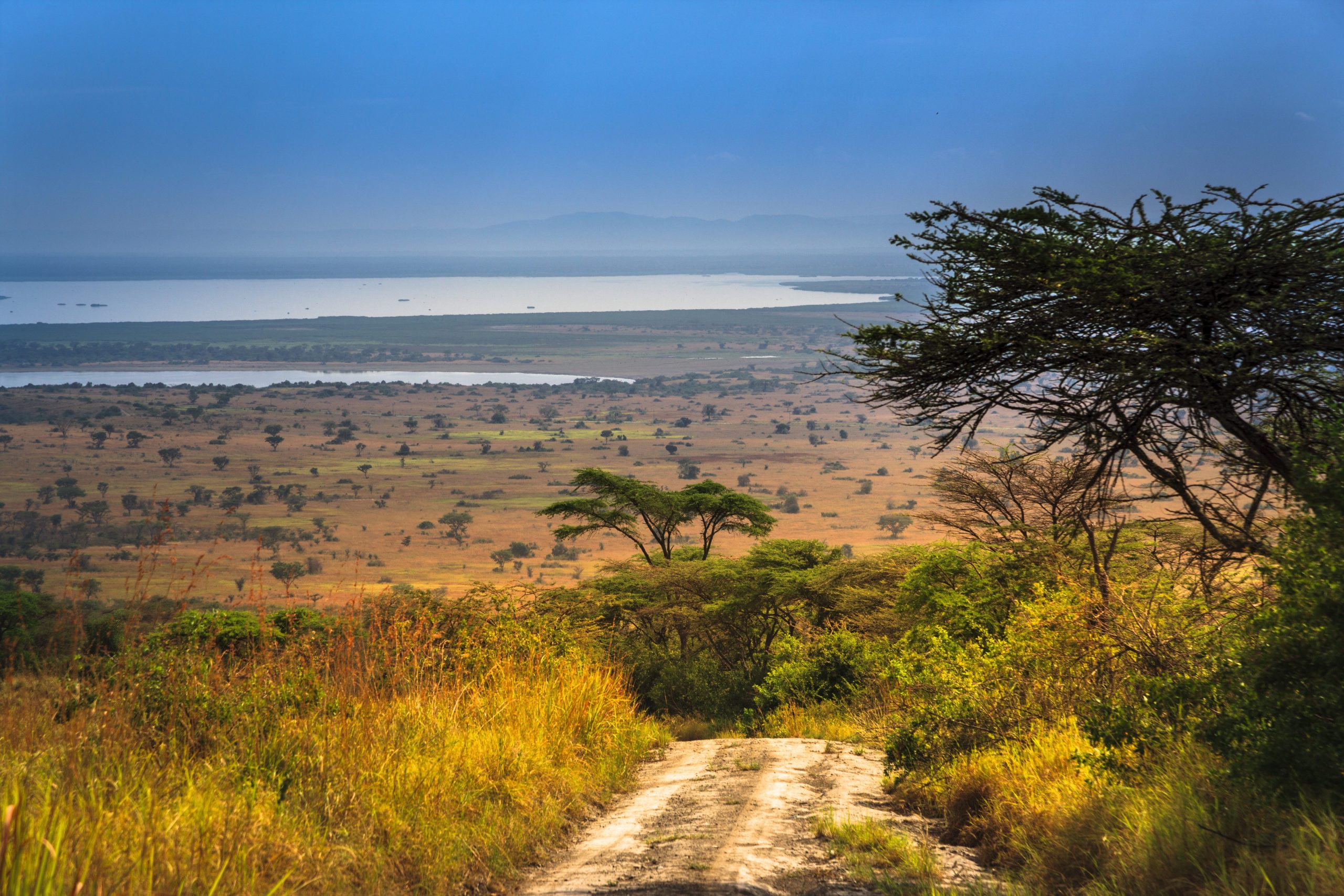 Uganda Driving Guide 19 Safari vehicle and elephants on a game drive in Murchison Falls National Park Uganda