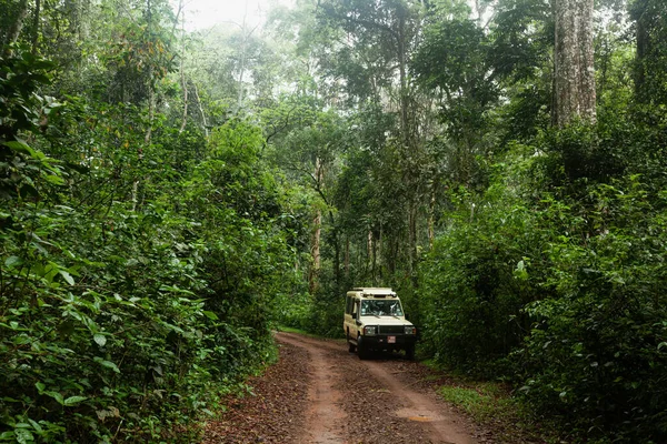 Uganda Driving Guide 23 4x4 vehicle driving on a safari track in Uganda
