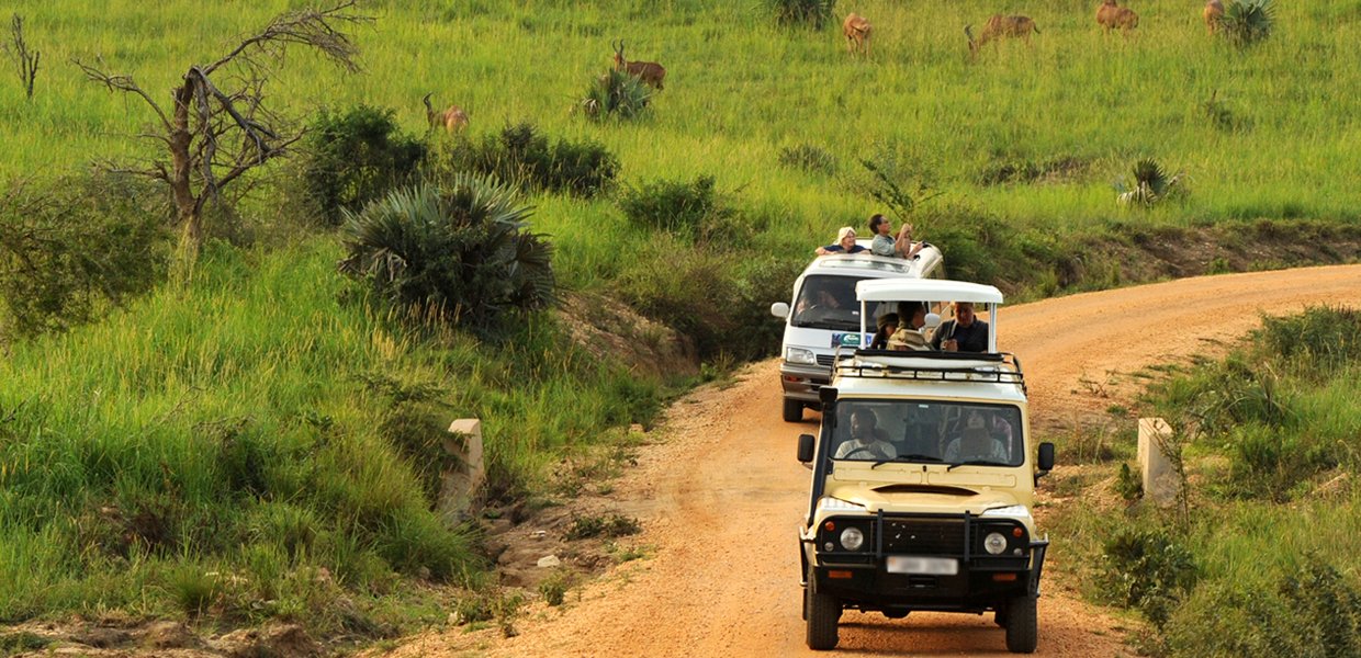 35 Uganda national park safari driving