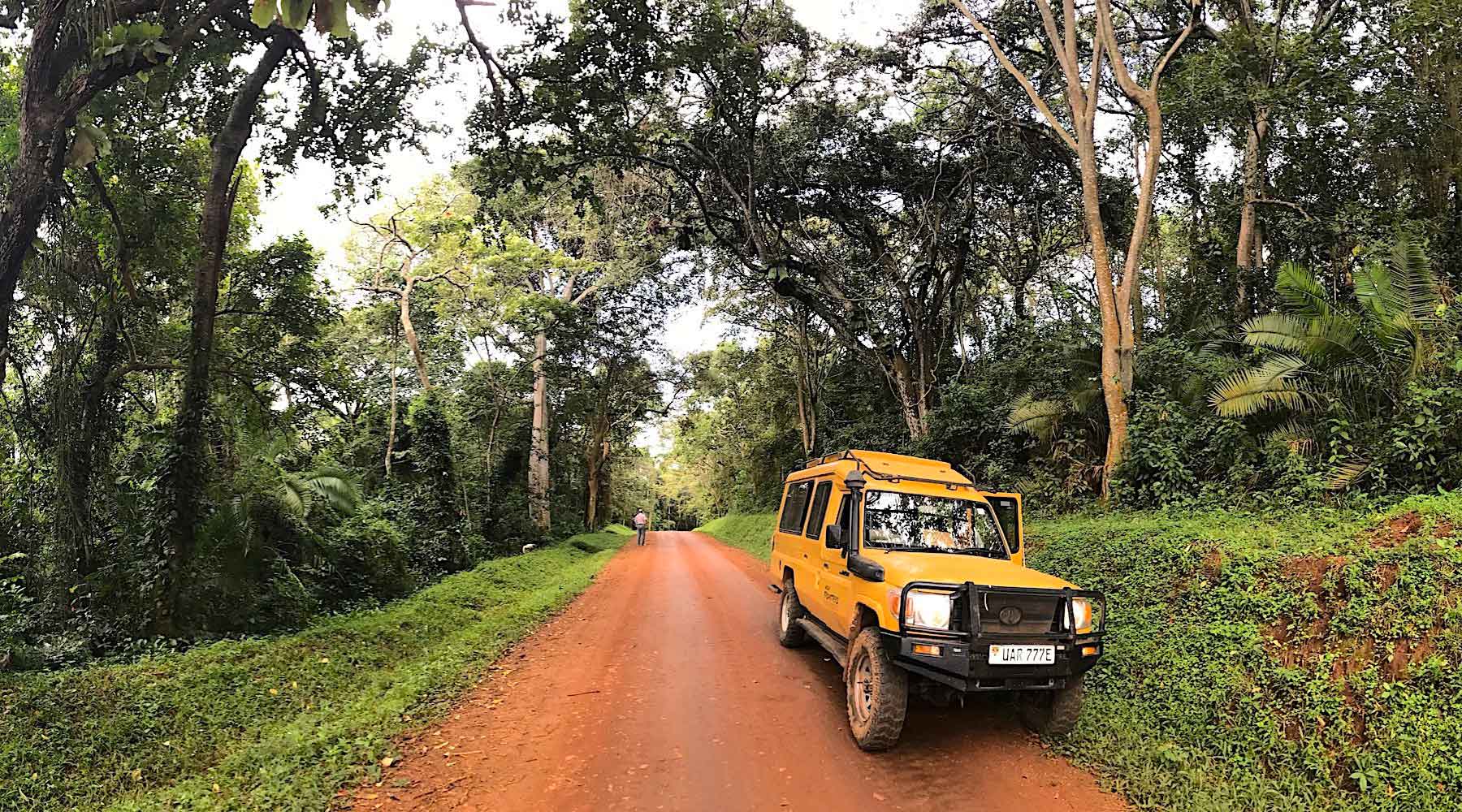 36 Uganda forest road and safari vehicle
