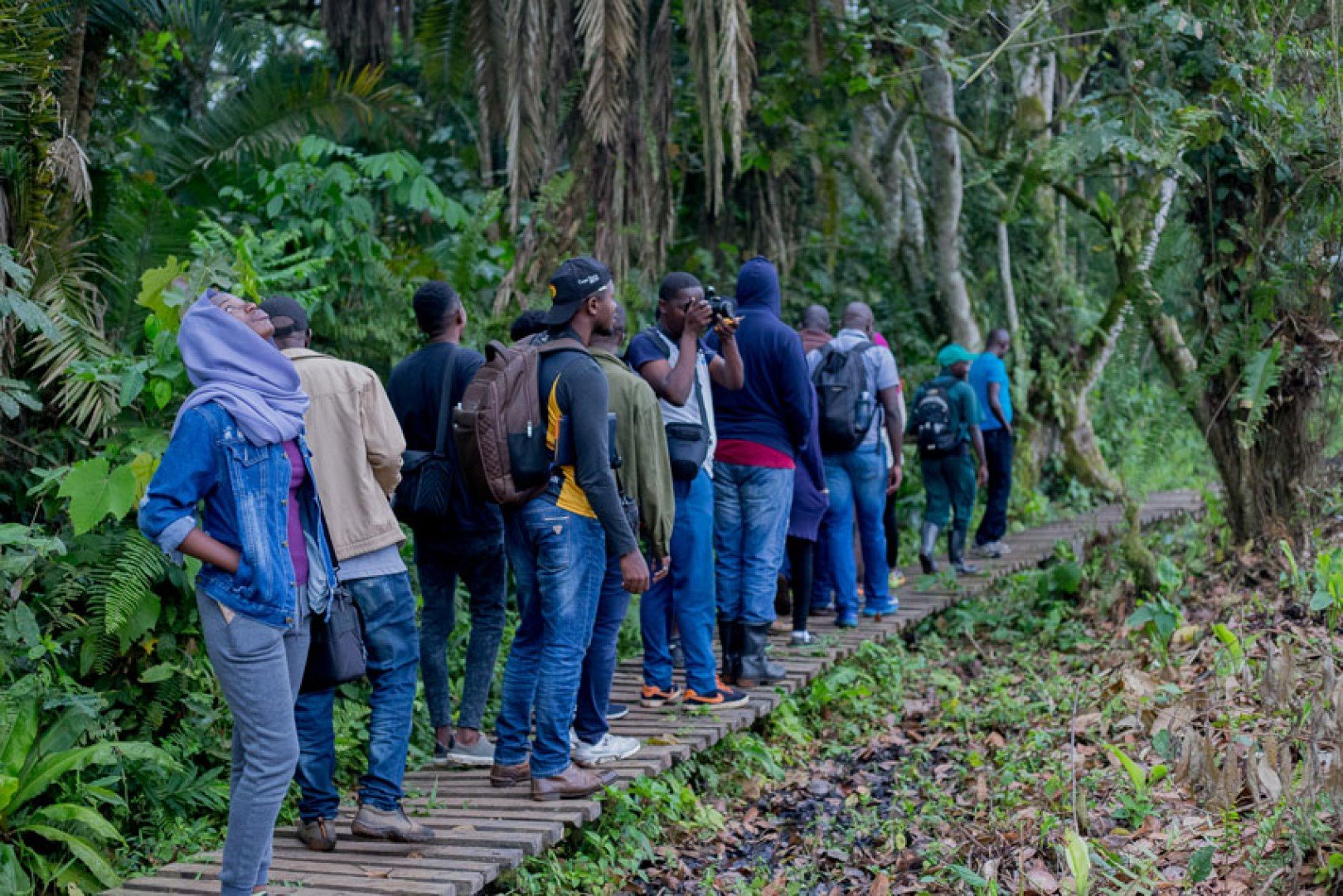 Kibale Wildlife Guide 73 Visitors walking on a boardwalk through Bigodi Wetland Sanctuary near Kibale National Park
