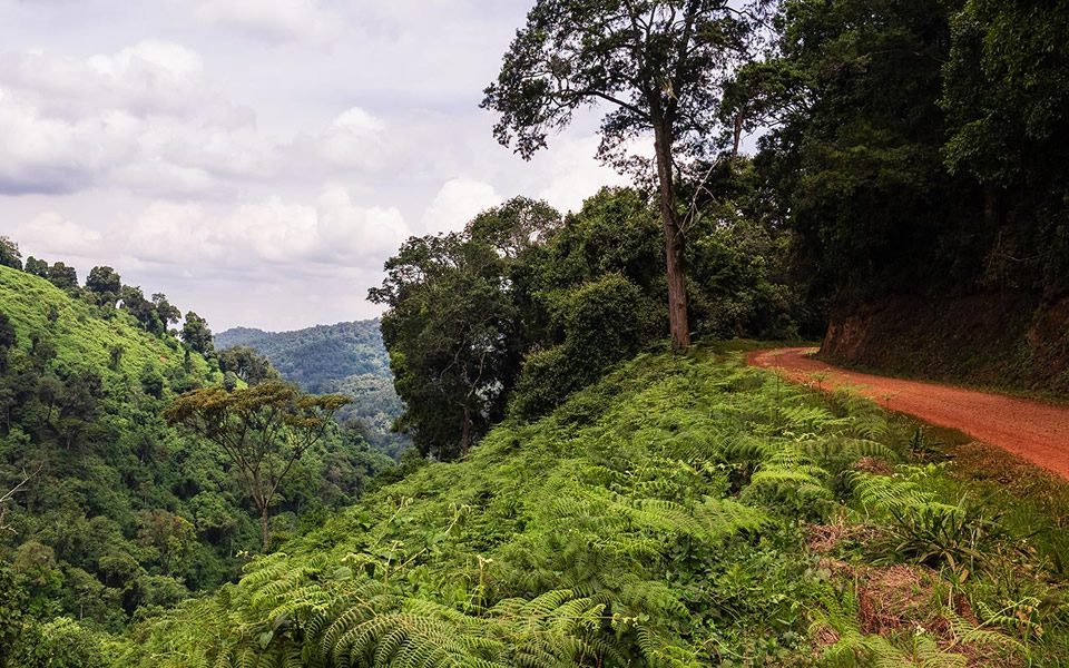 47 Road approaching Bwindi Impenetrable National Park