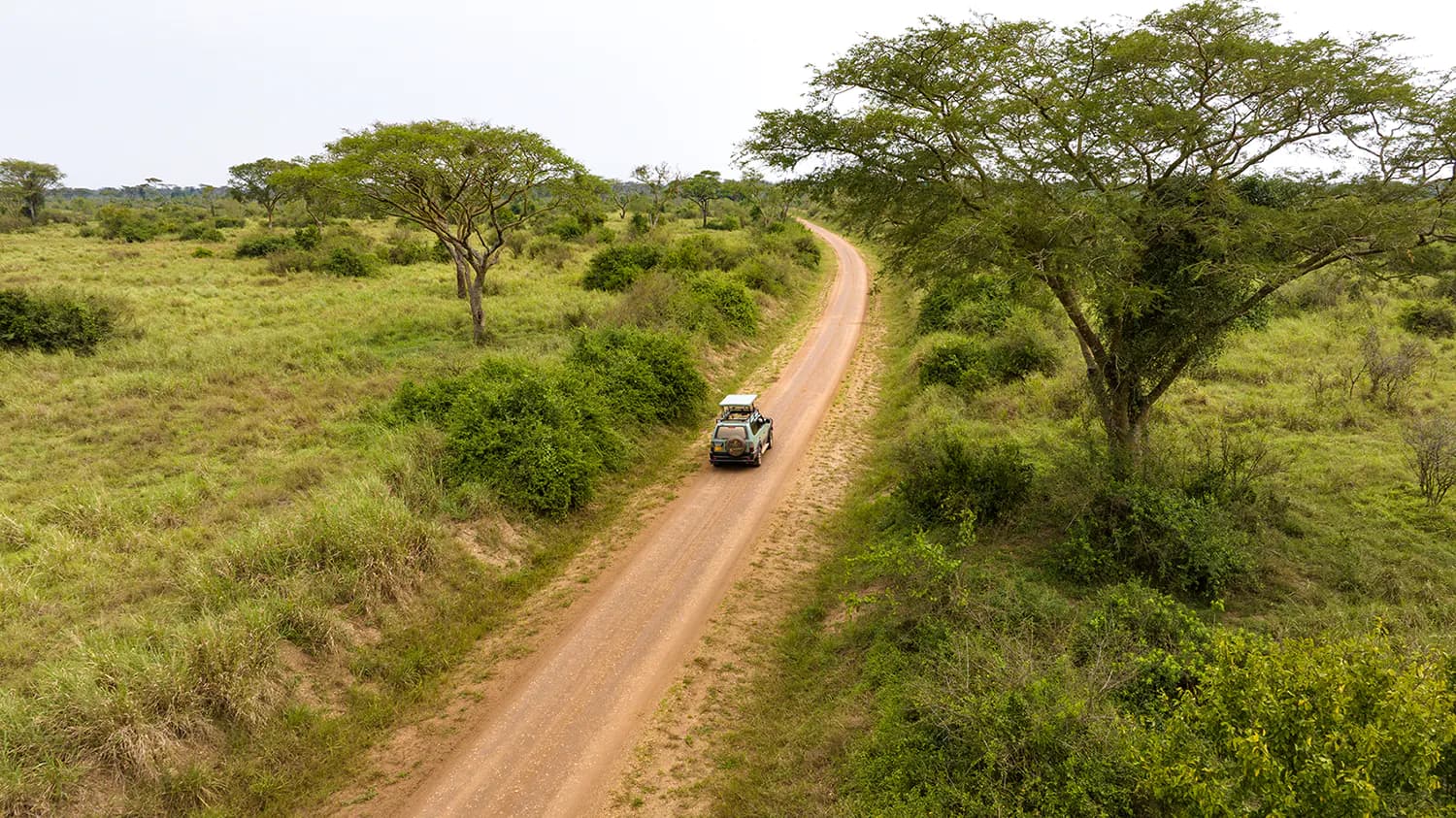 48 Queen Elizabeth National Park safari road