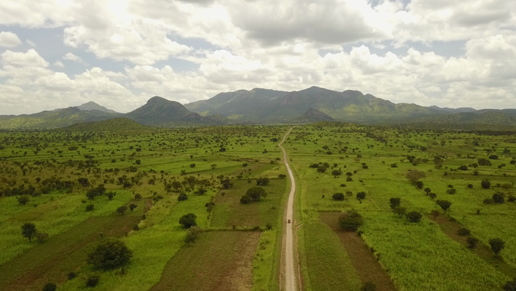 49 Kidepo Valley road