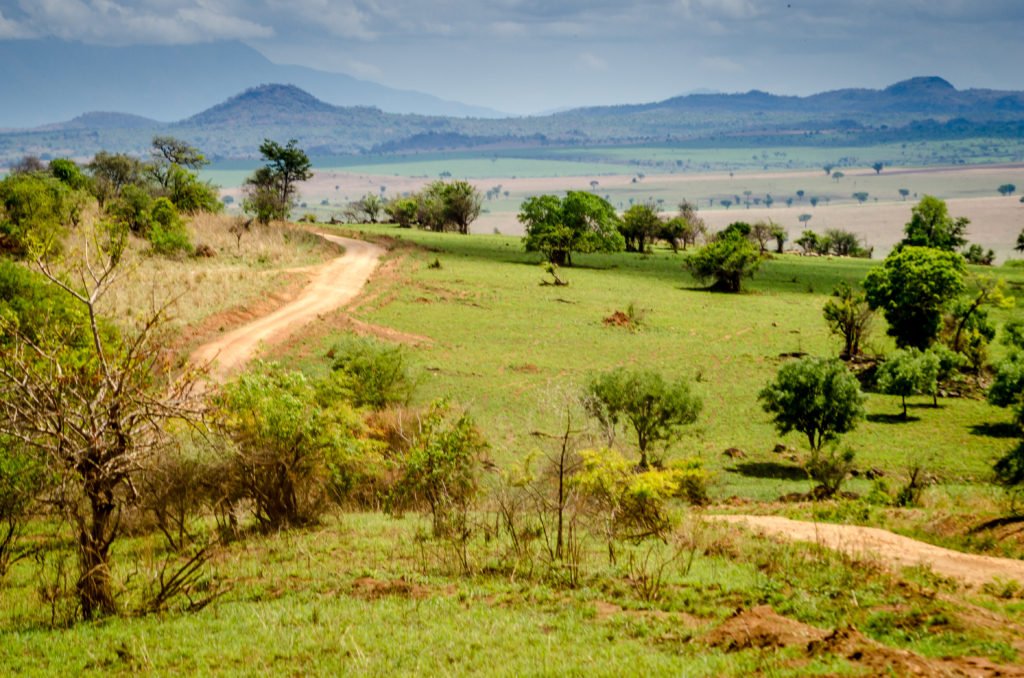 52 Kidepo Valley safari road