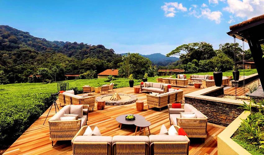 Rwanda Wildlife Guide: Best Safaris & Animals (2026/2027) 27 Luxury safari lodge with outdoor terrace overlooking tea plantations and forested hills near Nyungwe National Park, Rwanda