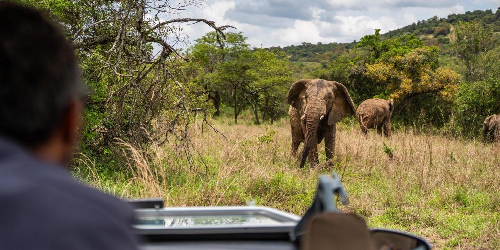 Rwanda Budget Safaris