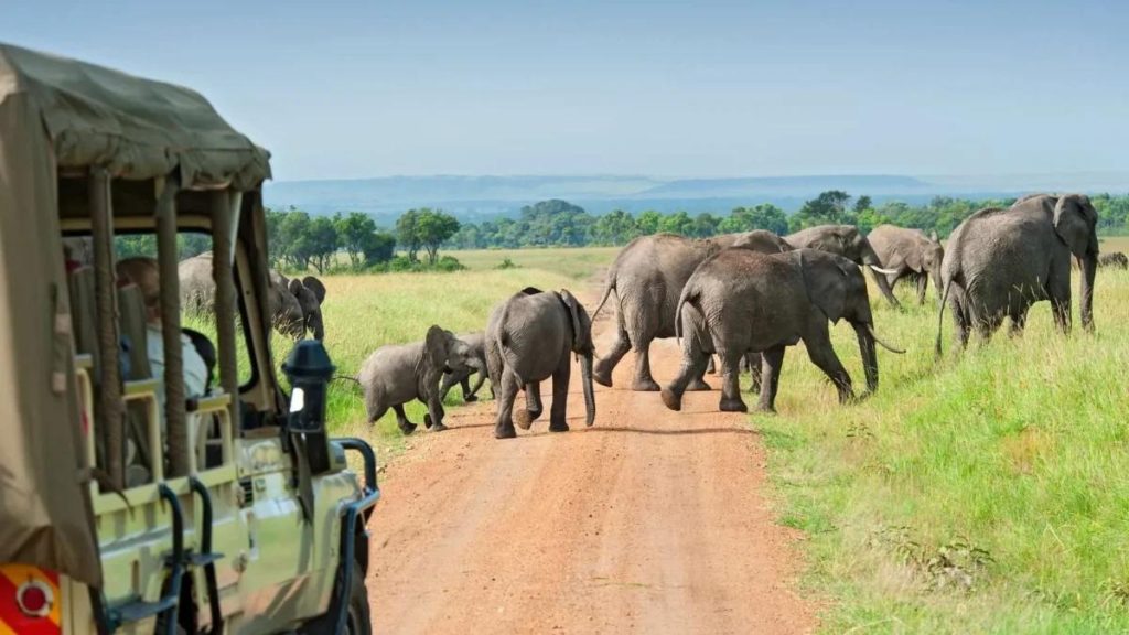 Rwanda Budget Safaris: Ultimate 2026 Guide 7 Rwanda safari on a a Budget