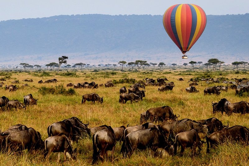Ultimate Tanzania Northern Circuit Safaris: The Best 2026 Guide 31 Tanzania Northern Circuit safaris