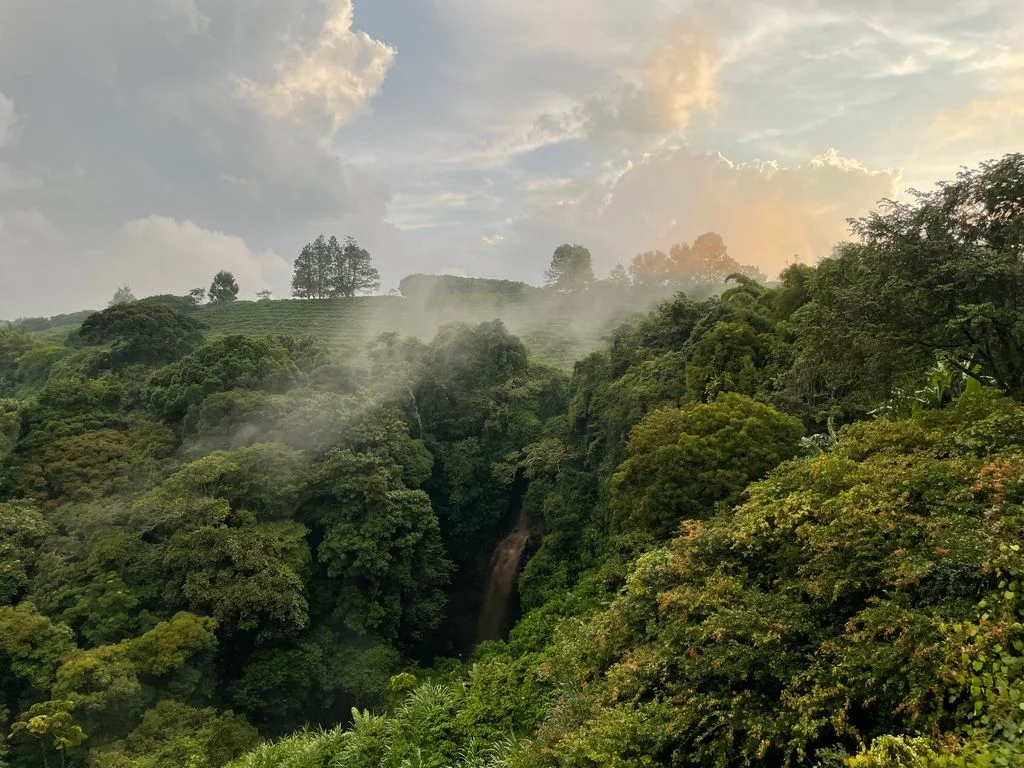Uganda Safari in July 15 Scenic view of Uganda's national parks in July