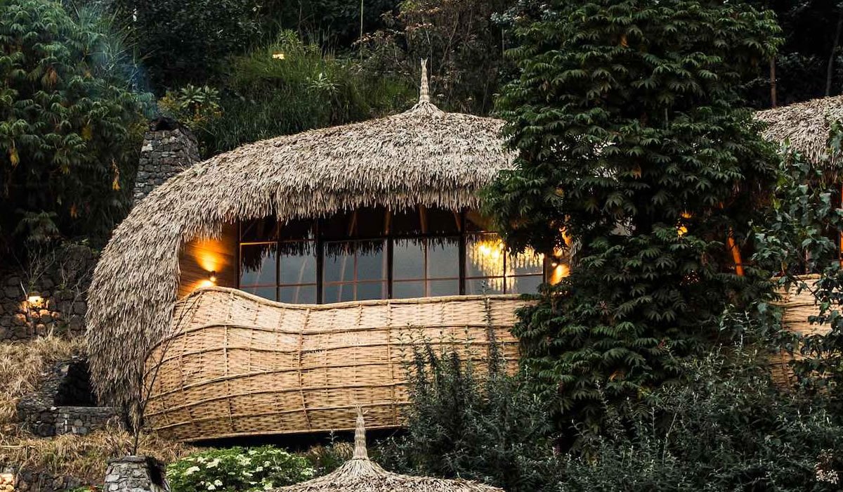 Best Rwanda Safari Packages in 2026/2027 | Wildlife Safari 19 Luxury safari lodge surrounded by forest near Volcanoes National Park, representing luxury hotels and safari lodges in Rwanda.