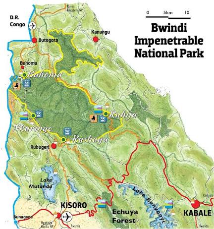Best Bwindi Sectors for Gorilla Trekking 3 Map showing Buhoma Ruhija Rushaga and Nkuringo sectors