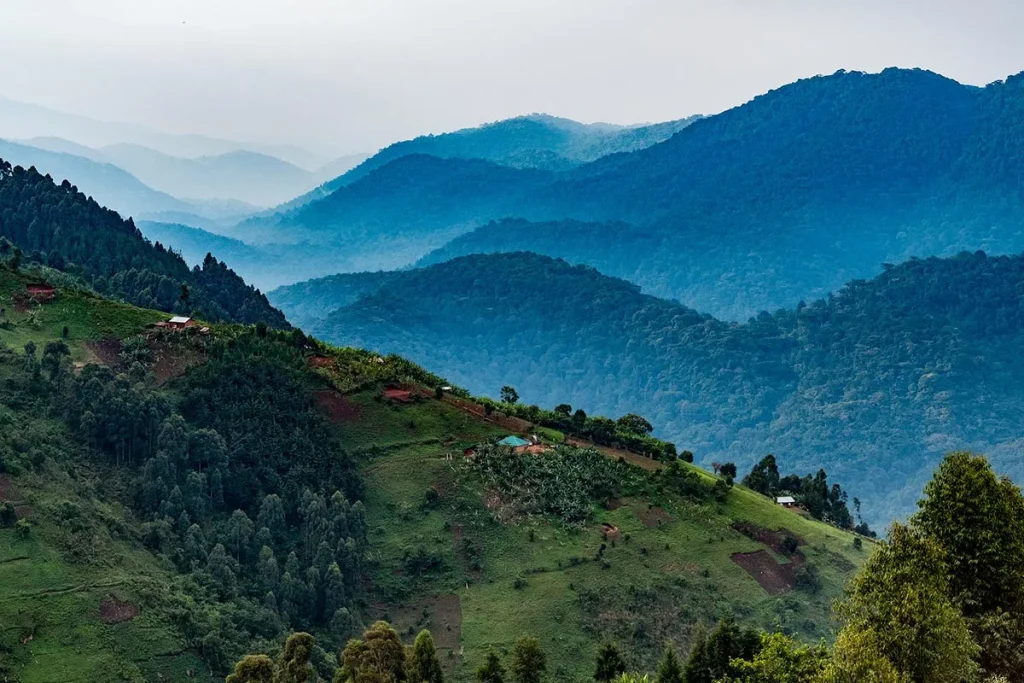Best Bwindi Sectors for Gorilla Trekking 1 Aerial view of Bwindi Impenetrable National Park in Uganda