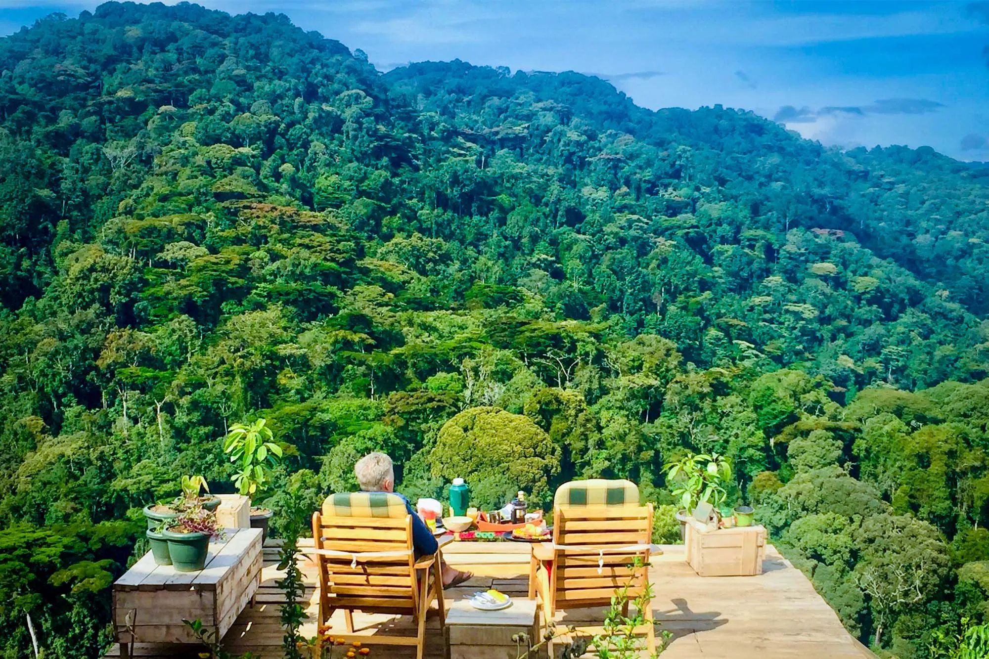 Rwanda vs Uganda Safari: Which Is Best? 2026/2027 15 Panoramic view of the dense tropical forest of Bwindi Impenetrable National Park in Uganda with a scenic lodge terrace overlooking the rainforest