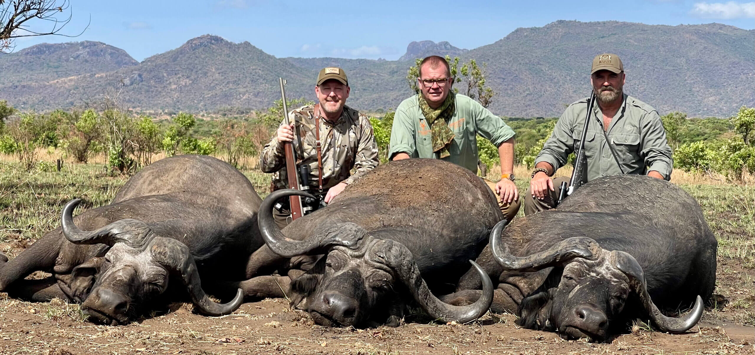 Incredible Uganda Wildlife Encounters: Ultimate Safari Guide 2026/2027 23 Cape buffalo in the foreground during a Uganda safari wildlife encounter