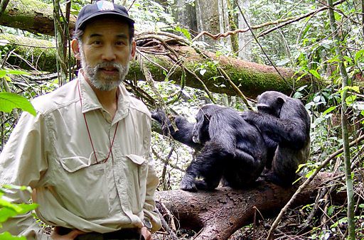 Kibale Forest National Park: Uganda's Chimpanzee Capital 7 Chimpanzee Habituation Experience