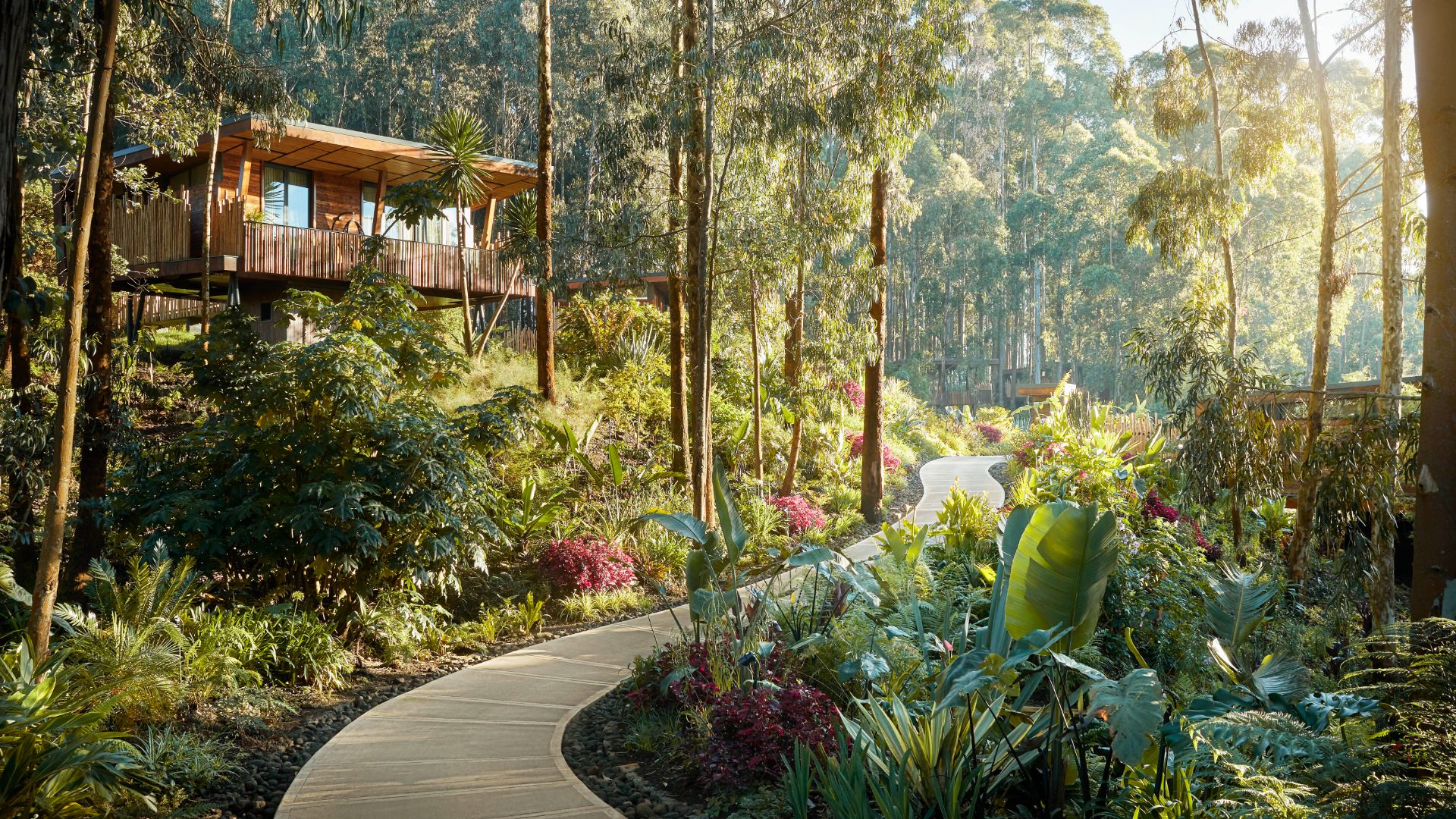 A wooden eco-lodge raised above a lush jungle path in Rwanda